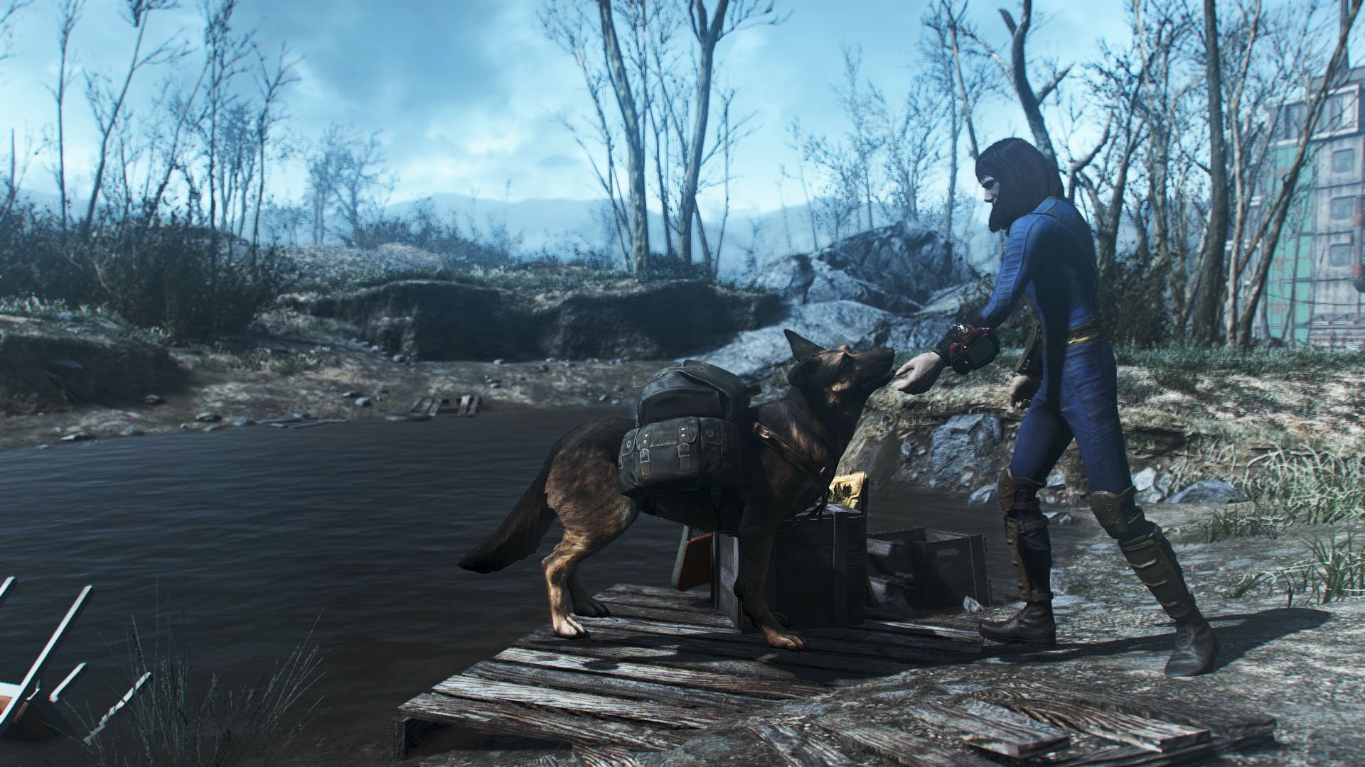 Fallout 4 как оставить пса фото 42