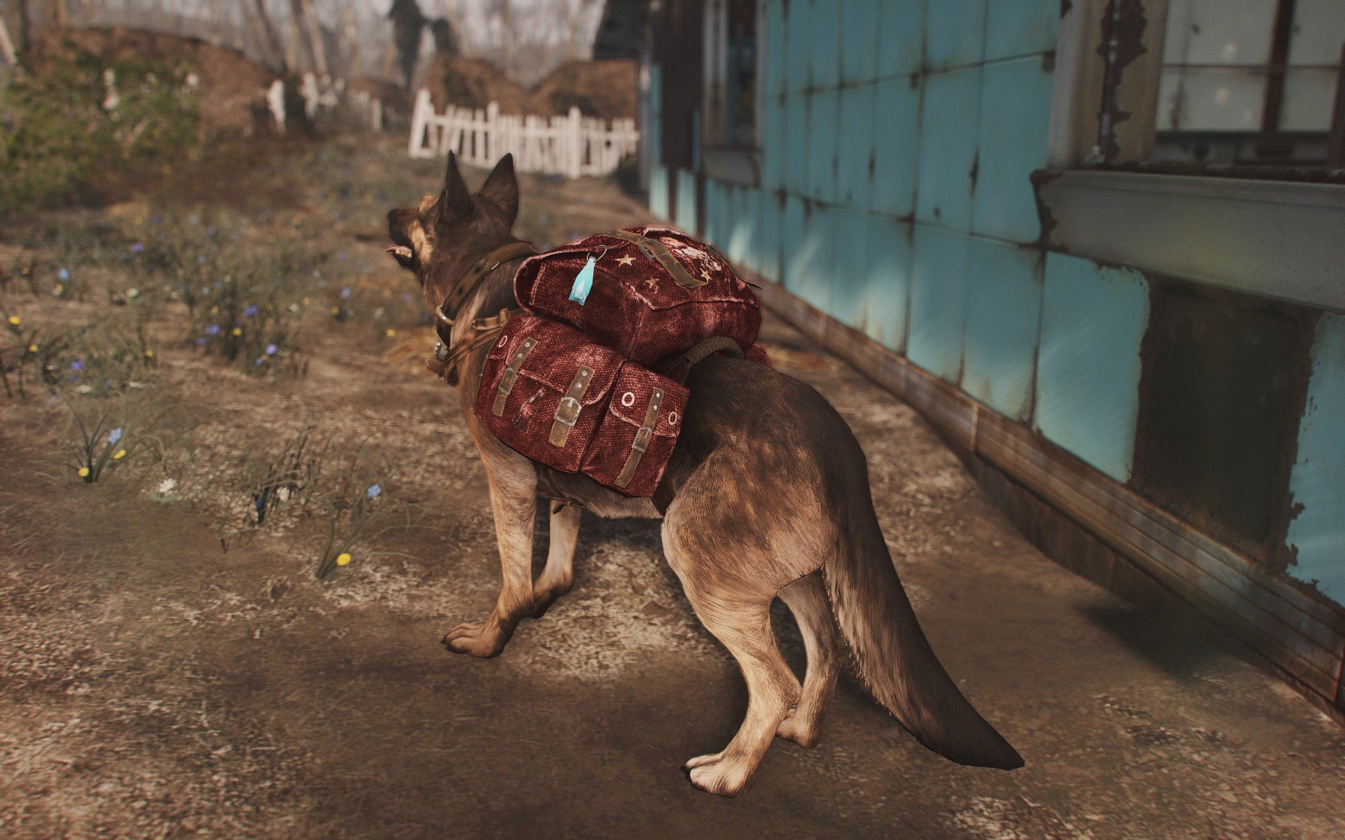 Fallout 4 dogmeat no фото 94